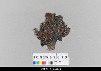 藏品(中國湖北皮影戲偶頭-雜)的圖片